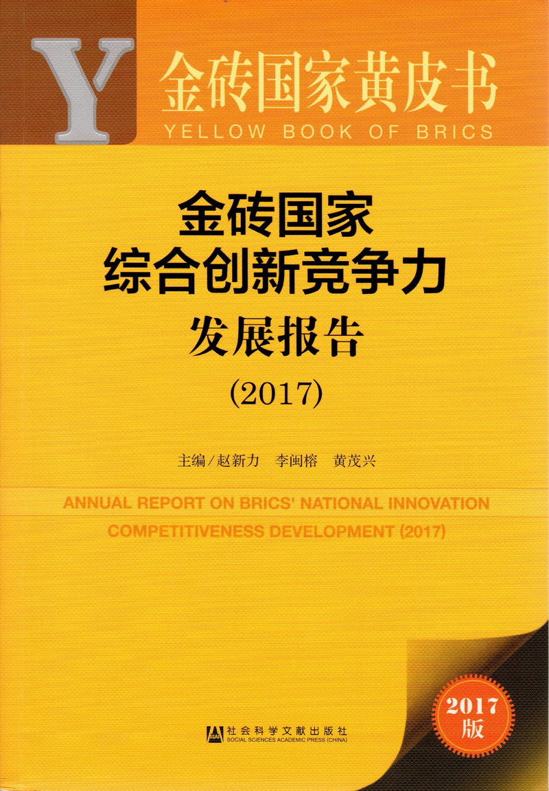 老扒操比金砖国家综合创新竞争力发展报告（2017）